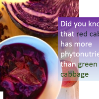red cabbage 2